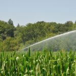 Aspersor de riego Agrícola de 2.5" Riego desde 35 hasta 38 metros de diámetro - Imagen 4