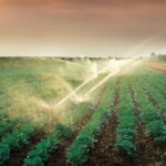 Bomba sumergible de 2 paneles Solares 1/2 Hp SOLAR050-50L - Imagen 6