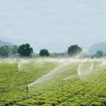 Bomba sumergible para pozo profundo 15 HP 6", 440V trifásico INOXIDABLE SD6130ME1500HI - Imagen 4