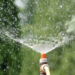 Bomba sumergible trifásica para pozo profundo 4", 8 GPM, descarga de 1.25", 1.5 HP. 220V SD408ME0150G - Imagen 5