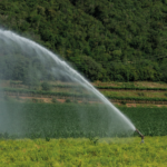 Bomba sumergible trifásica para pozo profundo 4″, 40 GPM, descarga de 2″, 7.5 HP. 220V SD440ME0750G - Imagen 5