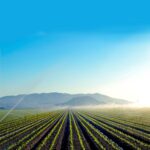 Bomba sumergible  220V trifásica para pozo profundo 4", 70 GPM, descarga de 2", 10 HP Modelo: SD470ME1000G - Imagen 4