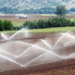 Bomba sumergible monofásica para pozo profundo 4", 70 GPM, descarga de 2", 3 HP. 220V SD470ME300G3 - Imagen 6